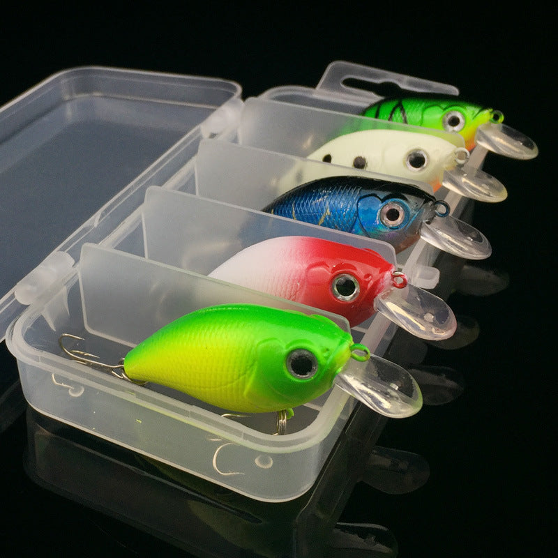 WALK FISH 5 Pcs Lot Fishing Lure 5 Color Minnow Road Bait Small Fatty Fish Bait Fishing Gear Hard Bait Spinner Artificial Bait