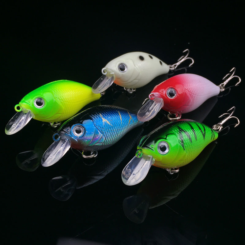 WALK FISH 5 Pcs Lot Fishing Lure 5 Color Minnow Road Bait Small Fatty Fish Bait Fishing Gear Hard Bait Spinner Artificial Bait
