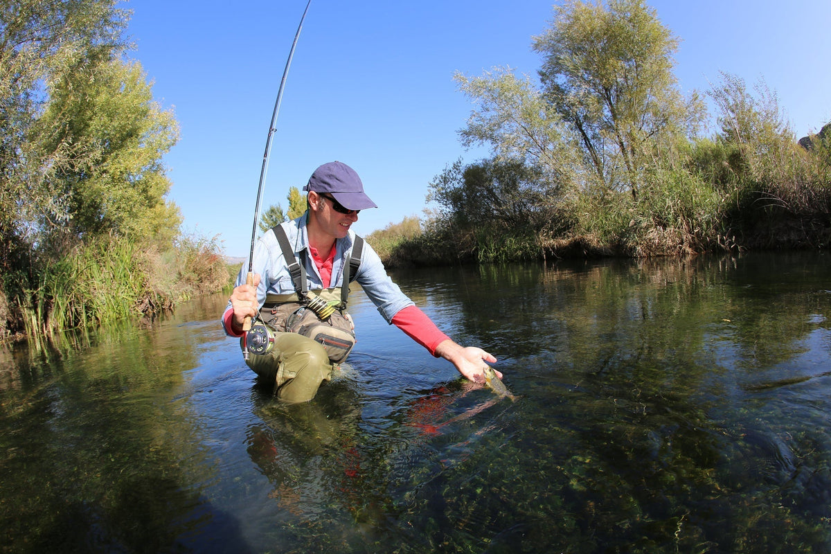 Gray Wulff Classic Trout Dry Fly -12 Flies Hook Size 12