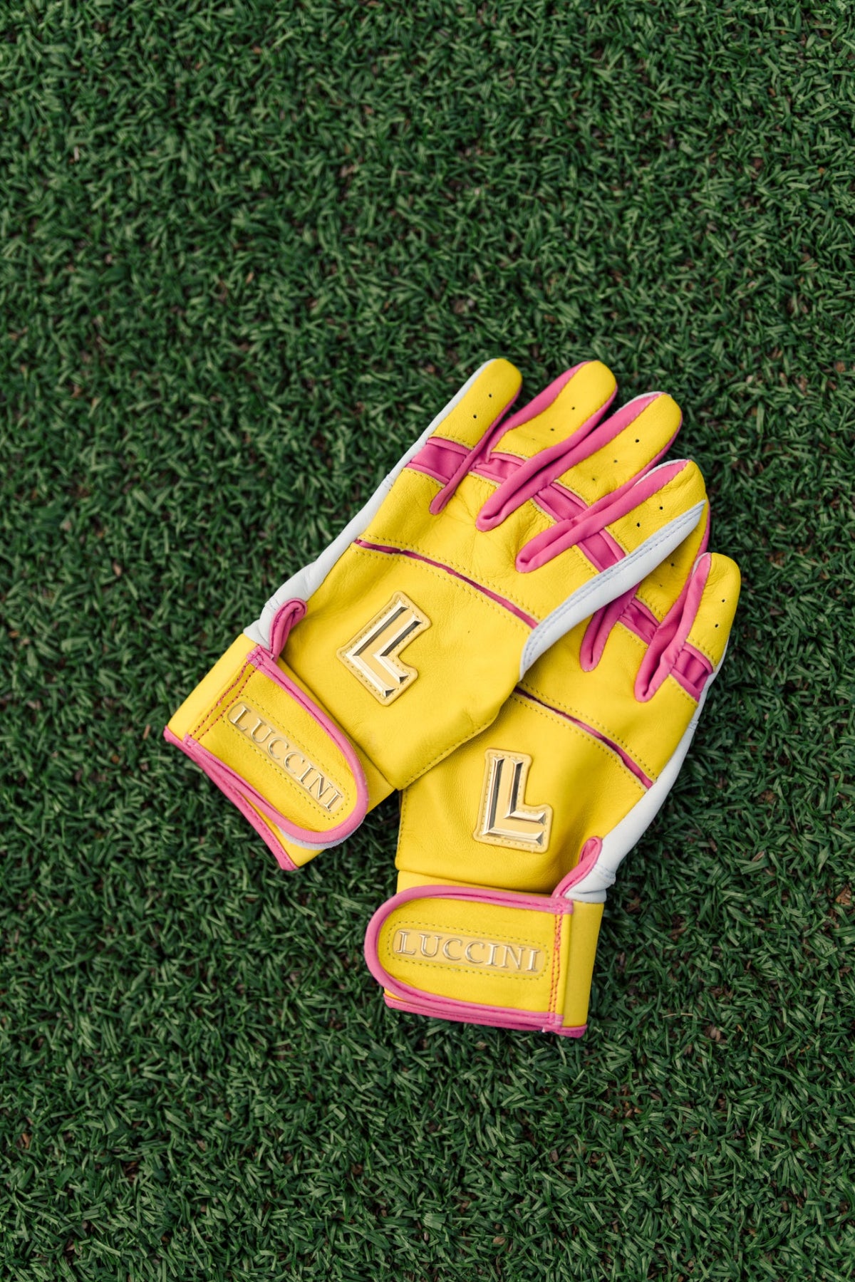 Jordin Griffin Signature Series