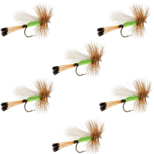 Lime Trude Classic Hair Wing Dry Fly - 6 Flies Hook Size 14