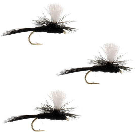 3 Pack Parachute Black Gnat Classic Dry Fly - Size 12