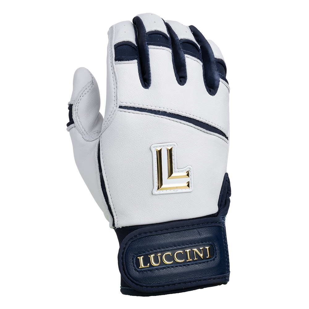 Legacy Series Batting Gloves – White/Navy