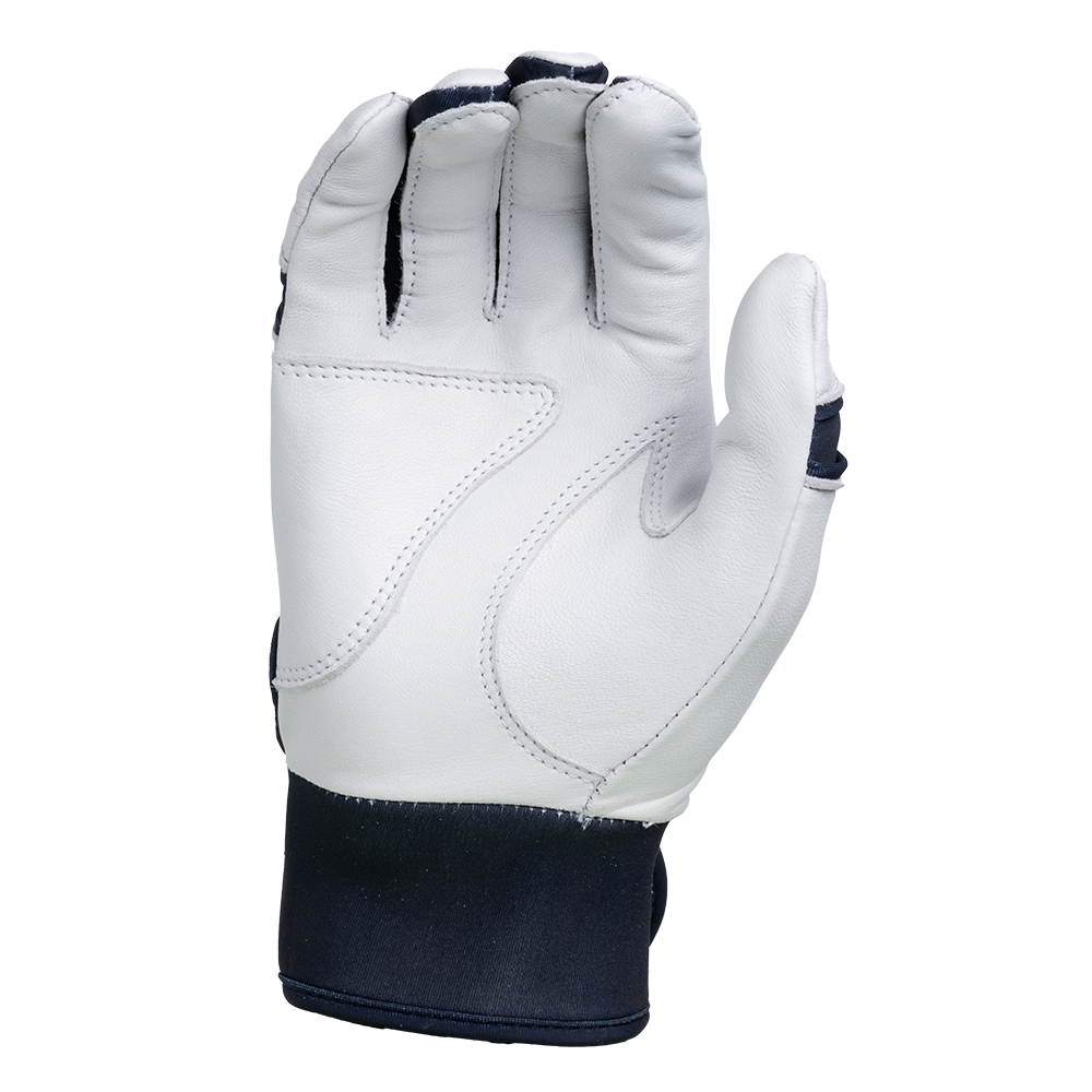 Legacy Series Batting Gloves – White/Navy