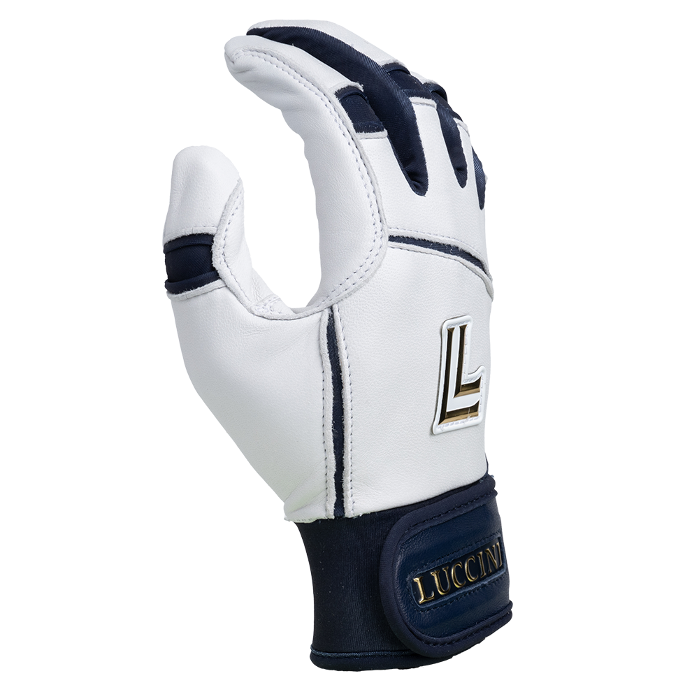 Legacy Series Batting Gloves – White/Navy