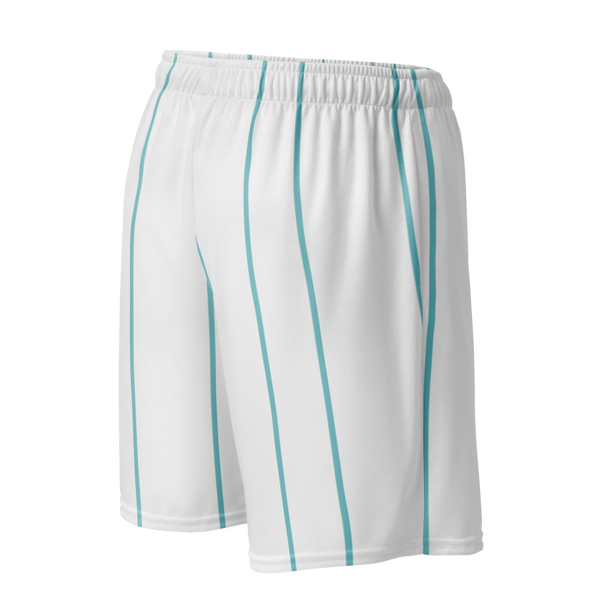 NHCH Striped Basketball Shorts