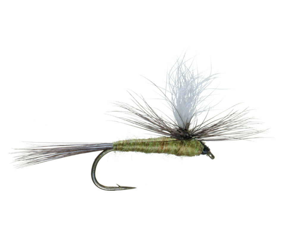 Blue Wing Olive BWO Parachute Dry Fly - 12 Flies Size 18