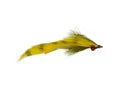 Clouser's Barred Mad Tom