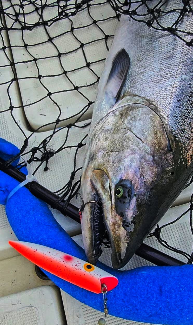 Ice Strong Outdoors - Killer Fish - Rattling TROLLING PLUG UV -SPECIAL 6 PLUGS + BOX $90 + FREE SHIPPING